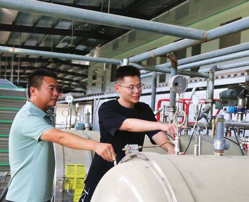 生產一線當教材 大學生暑期進企增知識