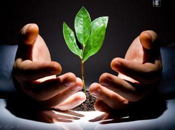 大電流變壓器盡在鵬鷹您的滿意是我們永恒的追求_大電流變壓器盡在鵬鷹您的滿意是我們永恒的追求價(jià)格_大電流變壓器盡在鵬鷹您的滿意是我們永恒的追求廠家_防盜、報(bào)警器材及系統(tǒng) 產(chǎn)品 中國(guó)橄欖油交易網(wǎng)-橄欖油價(jià)格 橄欖油團(tuán)購(gòu) 橄欖油行情 進(jìn)口橄欖油