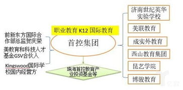圖文解讀 職業(yè)教育與留學服務，上市公司布局全解析
